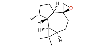 Aromadendrene oxide-2